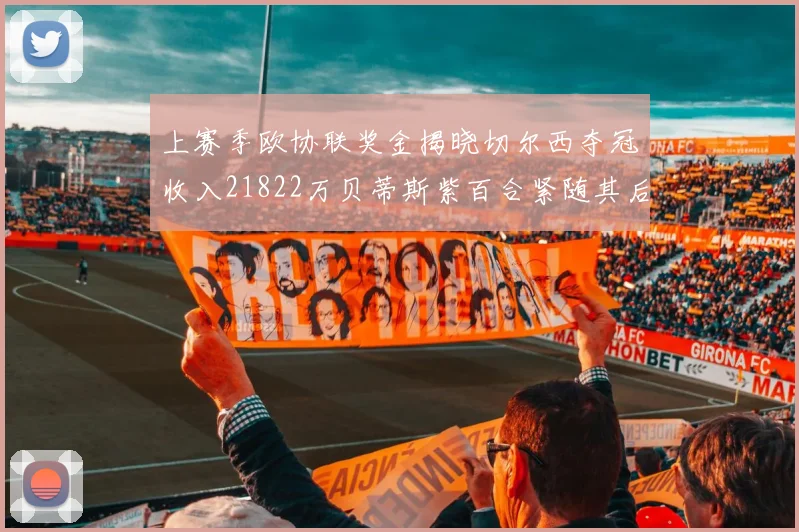 上赛季欧协联奖金揭晓切尔西夺冠收入21822万贝蒂斯紫百合紧随其后