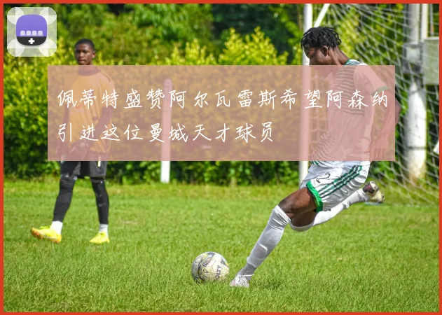 佩蒂特盛赞阿尔瓦雷斯希望阿森纳引进这位曼城天才球员